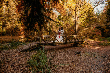 beautiful wedding couple posing in forest on old wooden bridge