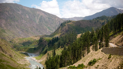 Obraz premium A view of trees and mountains above