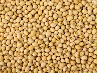 Raw dehydrated soybeans isolated on white background