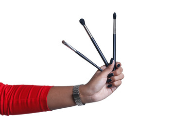 Hand holding makeup brushes