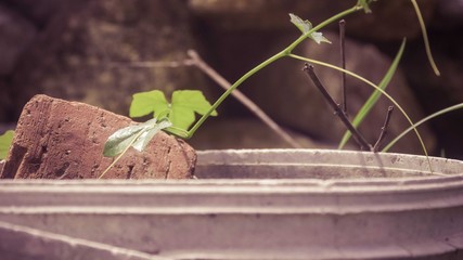 Close up of brick in a bucket