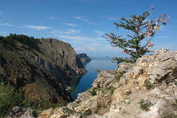 Multicolored prayer ribbons on the branches of siberian larch tree (Larix sibirica), Cape Khoboy, Lake Baikal (Siberia, Russia)