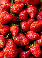 strawberries close up