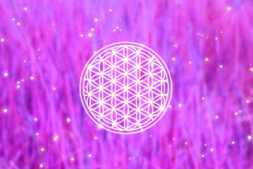 Flower of Life geometry sacred sign on purple background