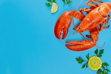 Cooked wild caught lobster with lemon on blue background.