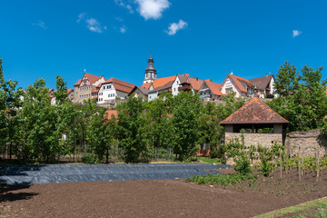 Obraz premium Cityscape of Gochsheim with historic city wall and St Martin chu