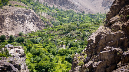 Close up of trees from the rock side