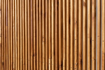 Wooden slats on wall in modern interior