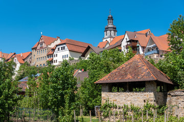 Cityscape of Gochsheim with historic city wall and St Martin chu