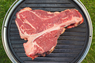 Thick Raw T-Bone Steak with Seasoning and Rosemary