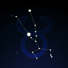 Obraz na płótnie Canvas Taurus, the bull. Constellation and zodiac sign on the starry night sky