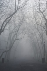 Obraz na płótnie Canvas London foggy parks, 