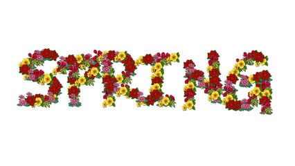 English name spring created from flowers