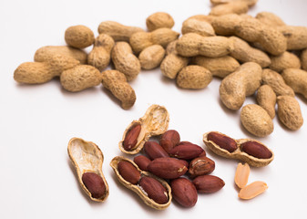 peanut kernels on a white background