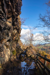 autumn landscape with trees