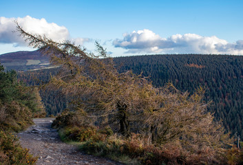 autumn landscape in the mountains