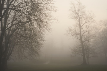 Fototapeta na wymiar London foggy parks, 