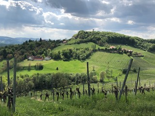 landscape green hills country vineyard