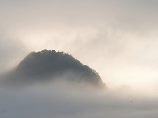 Rocky gulch full of heavy dark fog above deep forest. Cold Sun