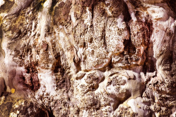 bark pattern rough structure closeup