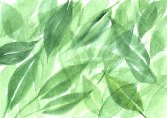 Fototapeta na wymiar Watercolor background green leaves