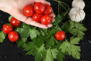 Woman hand holding red cherry tomato under the water drops in a black background. Vegetarian food. Healthy lifestyle.