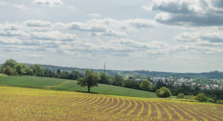 Ackerbau im Fr&uuml;hjahr