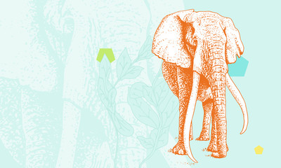 Assertive Elephant. Detailed illustration, hand drawn, richly textured.	
