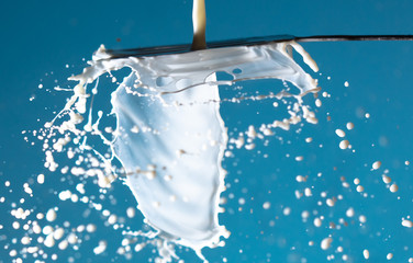 Obraz na płótnie Canvas Splashes of white milk isolated on a blue background.