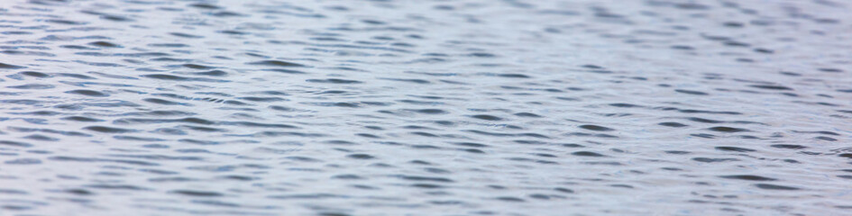 Naklejka premium The surface of the water in the pond as an abstract background.
