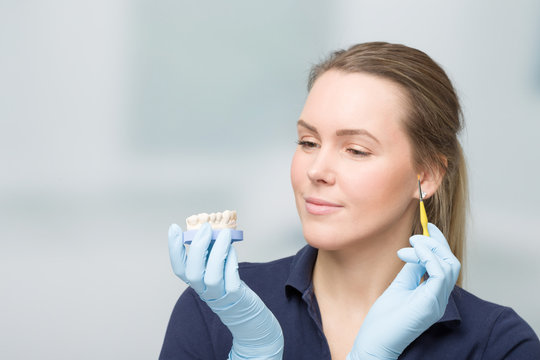 Young female dental technician is checking veneer of painted tooth crown in dental laboratory