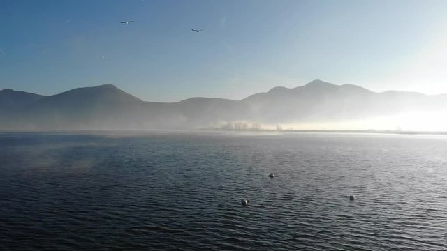 Drone lago nebbia vapore uccelli
