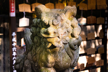 stone lion statue