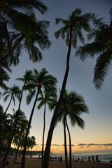 Fototapeta na wymiar ハワイの夕焼け