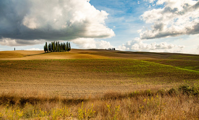 light bulb in the field