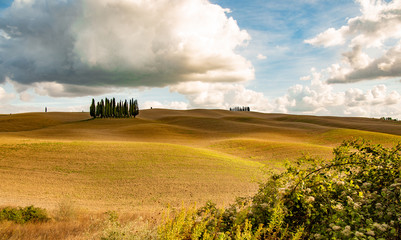 tuscan landscape with field and clouds