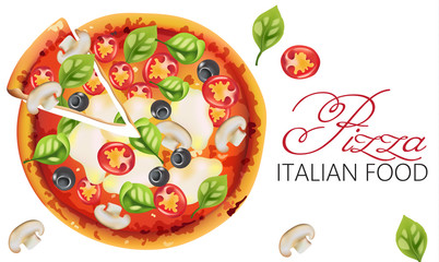 Pizza with basil leaves, tomatoes, tomato sauce, mozzarella, mushrooms and black olives