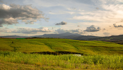 landscape with green grass and blue sky