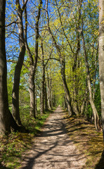 Landscape at Stoutenburg near Amersfoort, Netherlands
