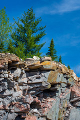 Mur de roche sous la forêt