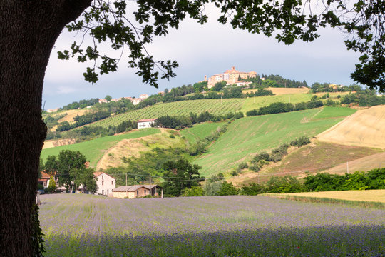 Piticchio, Arcevia, Ancona.