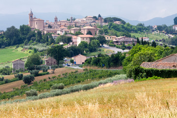 Corinaldo, Ancona. Panoramixa del borgo dentro il contesto rurale in primavera