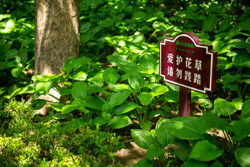garden park sky cloud