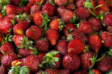 Ripe and fresh strawberries red berries background. summer fruit  surface