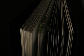 a black book stands against a black background