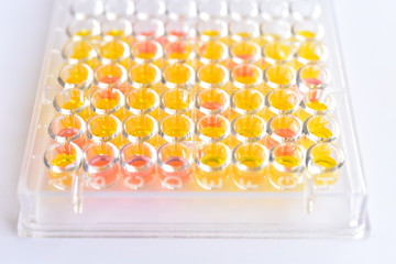 Enzyme-linked immunosorbent assay or ELISA plate, Immunology testing method in medical laboratory
