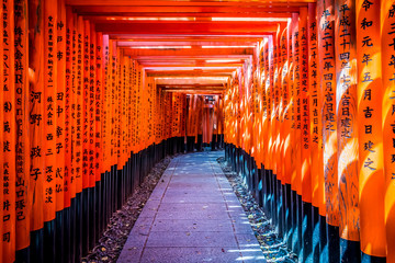 京都 伏見稲荷 鳥居 ~ Fushimi Inari Shrine, thousands of vermilion torii gates, Kyoto, Japan ~ - obrazy, fototapety, plakaty
