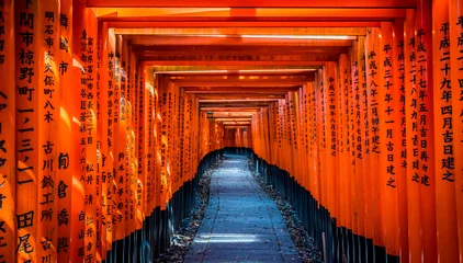 Foto auf Alu-Dibond Fushimi Inari-Schrein, Tausende von zinnoberroten Torii-Toren, Kyoto, Japan ~ © 拓也 神崎