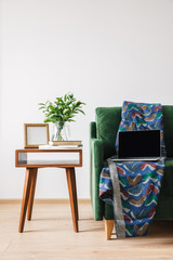 green sofa with blanket and laptop near wooden coffee table with green plant, books and photo frame