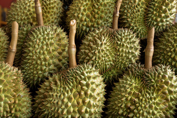 Durian available for sale in the Thai fresh market.